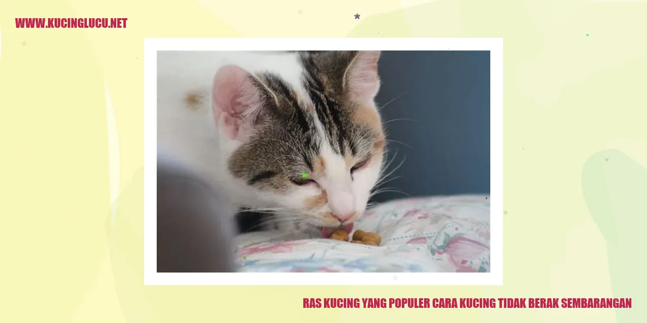 Ras Kucing yang Populer cara kucing tidak berak sembarangan