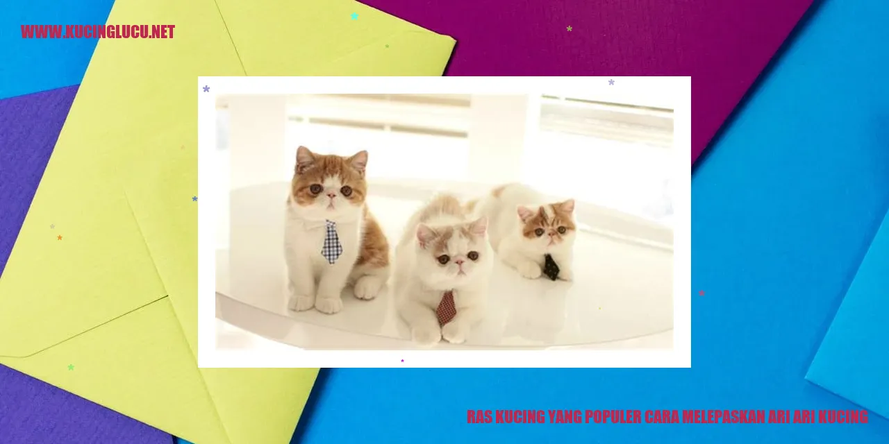 Ras Kucing yang Populer cara melepaskan ari ari kucing