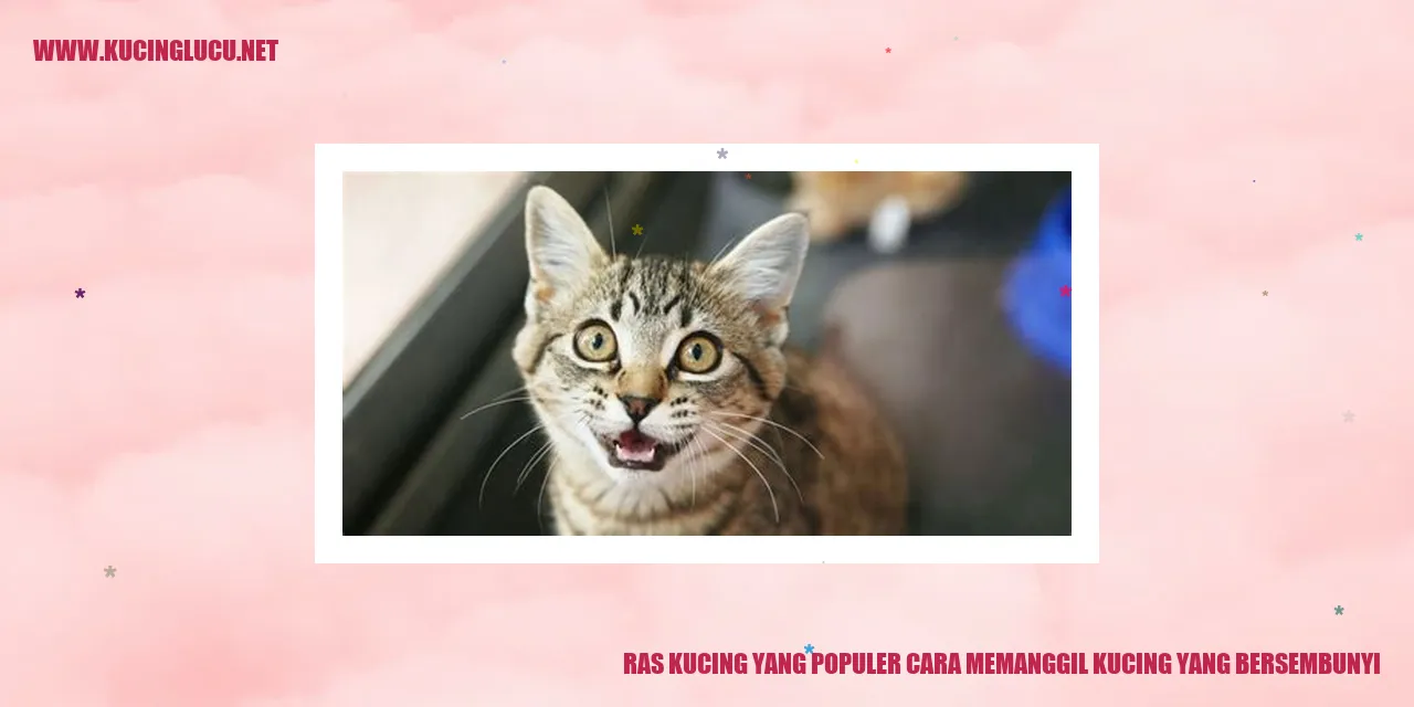 Kucing yang bersembunyi