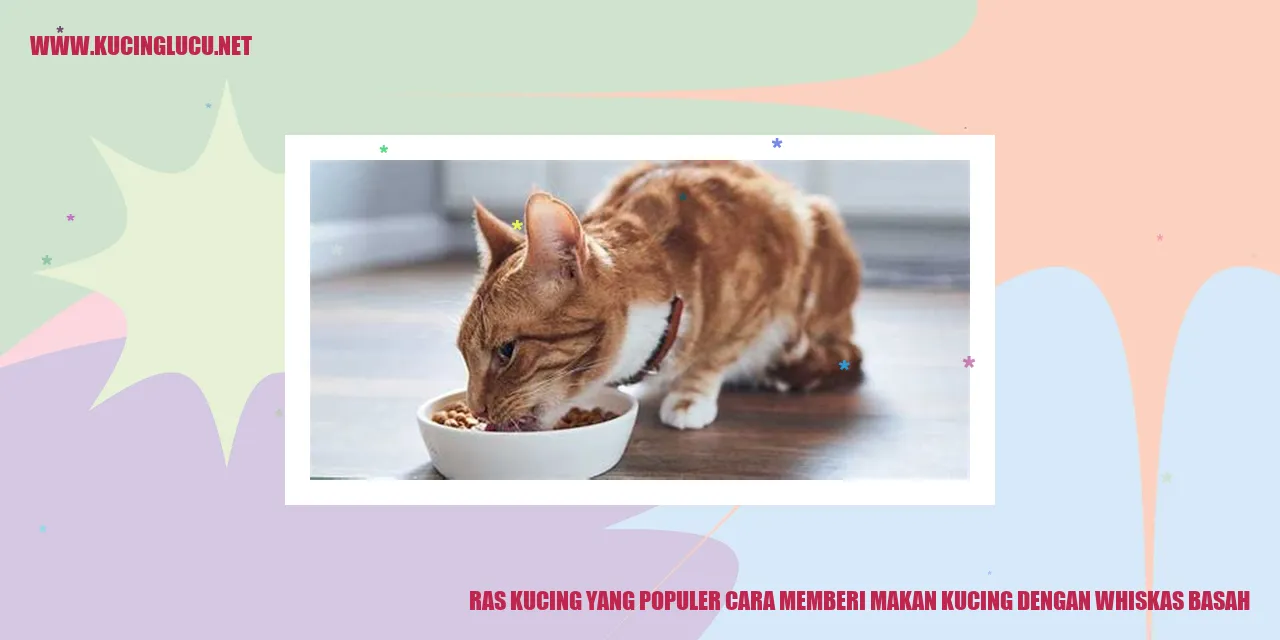 Ragam Ras Kucing yang Terkenal dan Tips Memberi Makan dengan Whiskas Basah