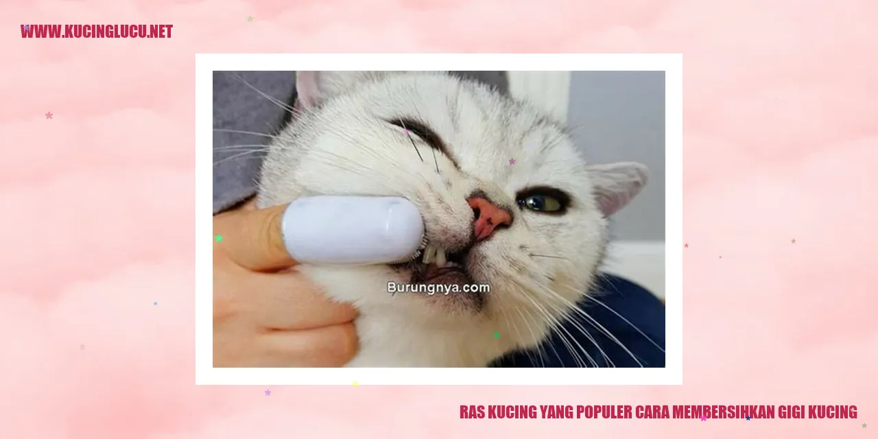 Ras Kucing yang Terkenal