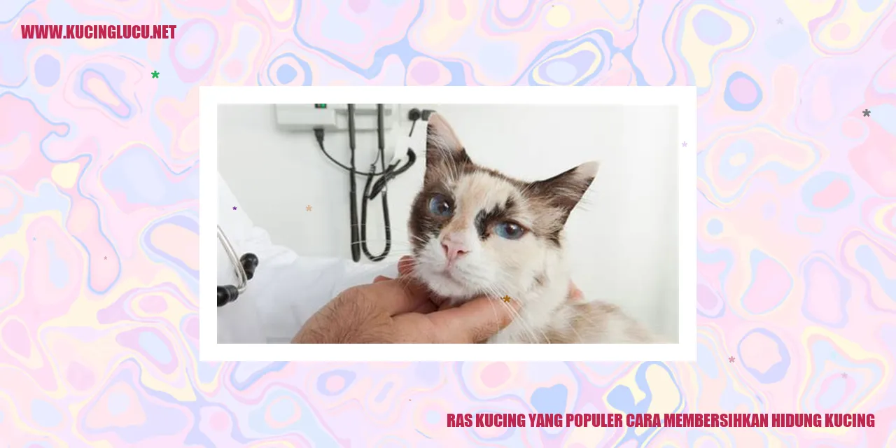 Ras Kucing yang Populer