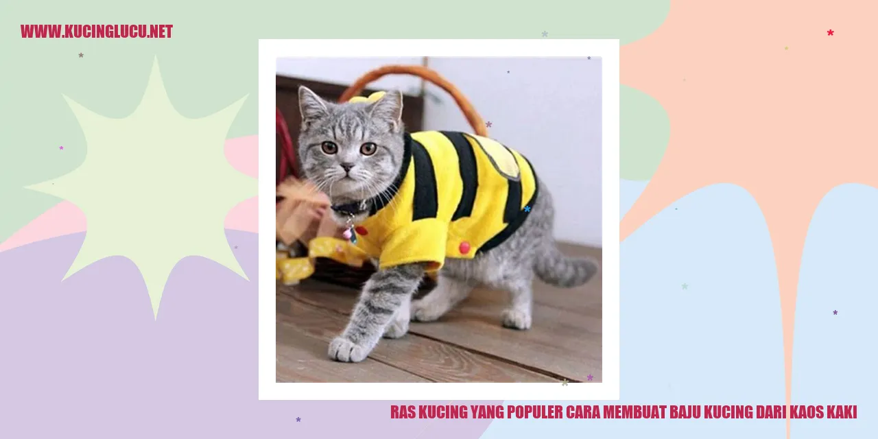 Ras Kucing yang Populer cara membuat baju kucing dari kaos kaki oleh kaos kaki bekas