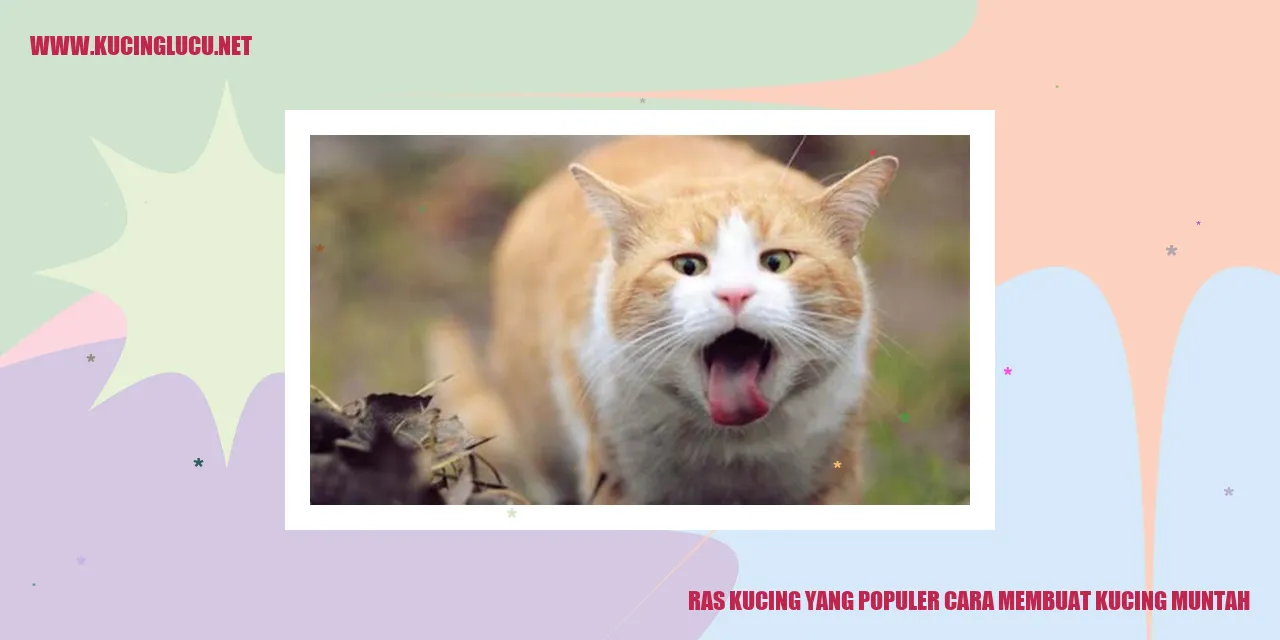 Ras Kucing yang Terkenal cara membuat kucing muntah
