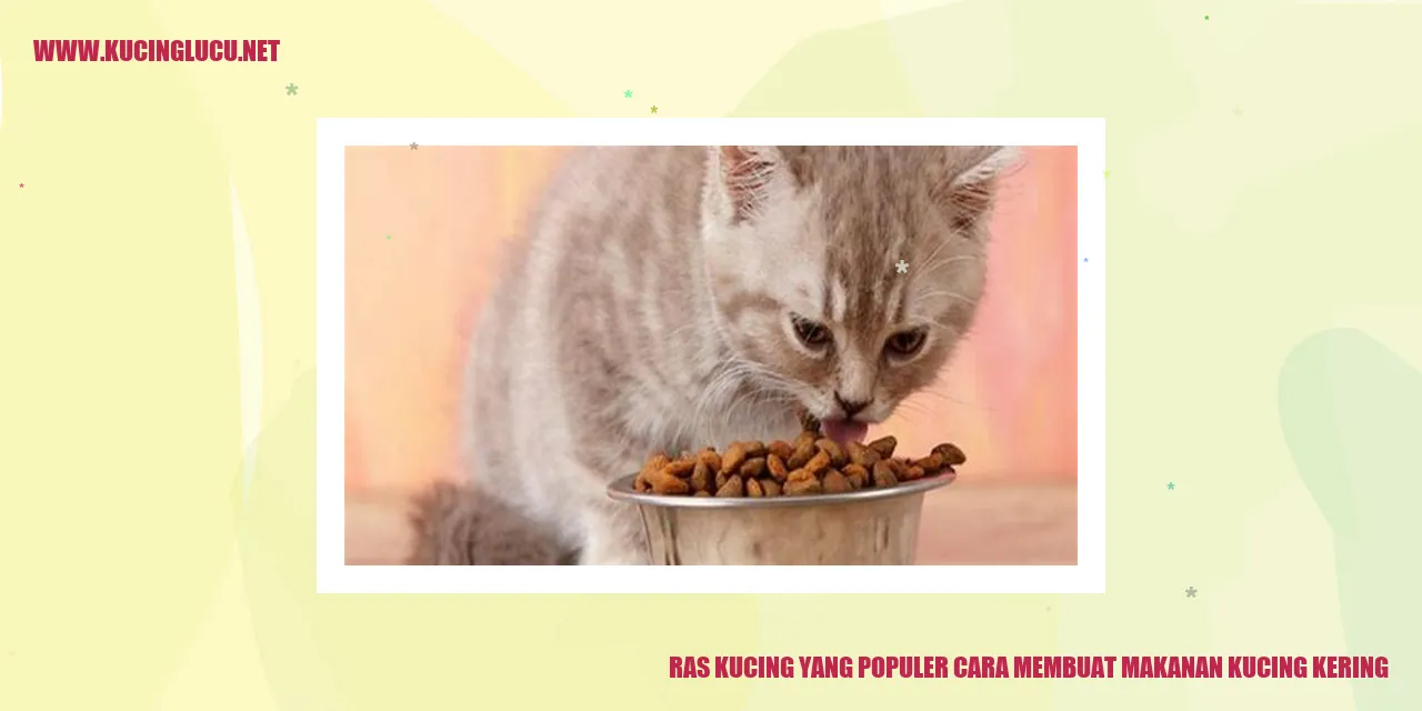 gambar kucing