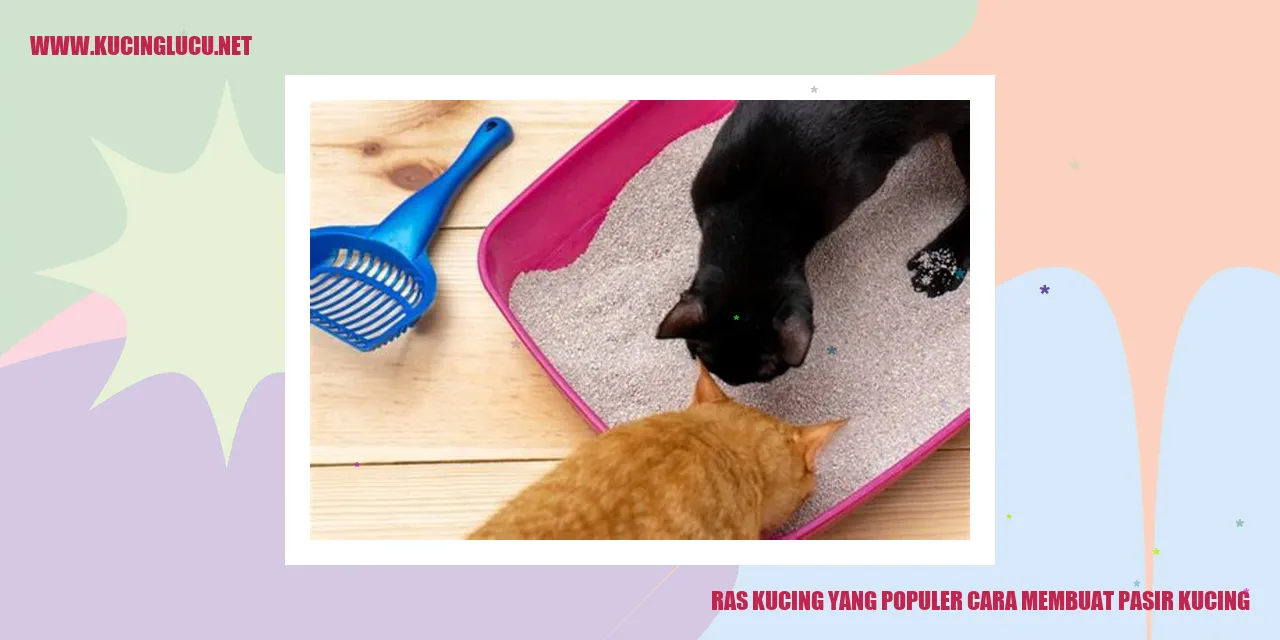 Kucing Menggunakan Pasir Kucing