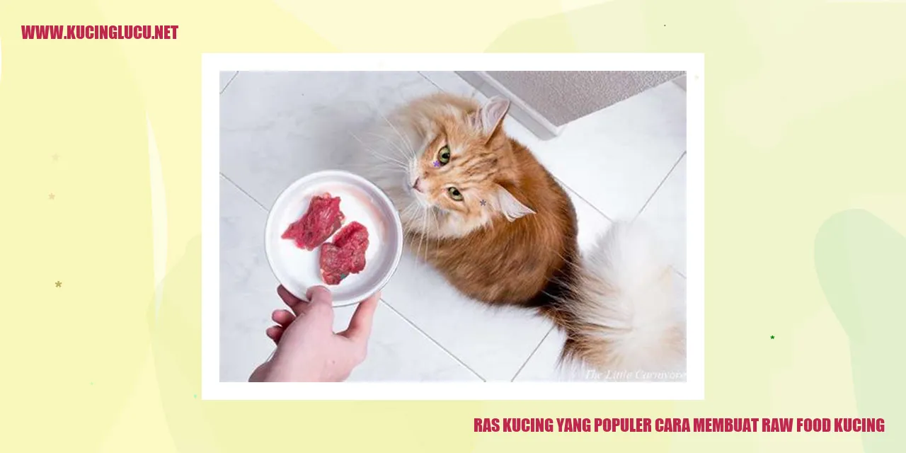 kucing makanan sehat