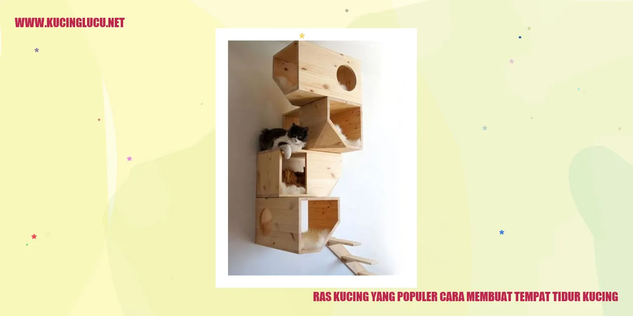 ras kucing