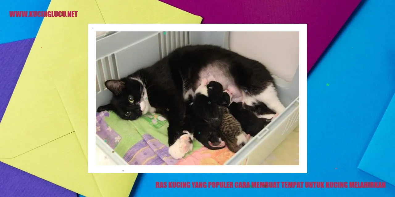 Ras Kucing yang Populer cara membuat tempat untuk kucing melahirkan