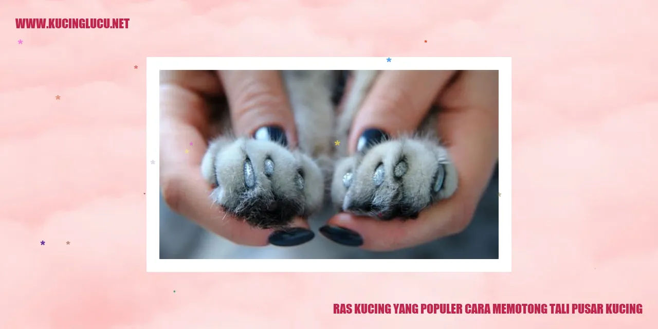 Ras Kucing yang Populer cara memotong tali pusar kucing