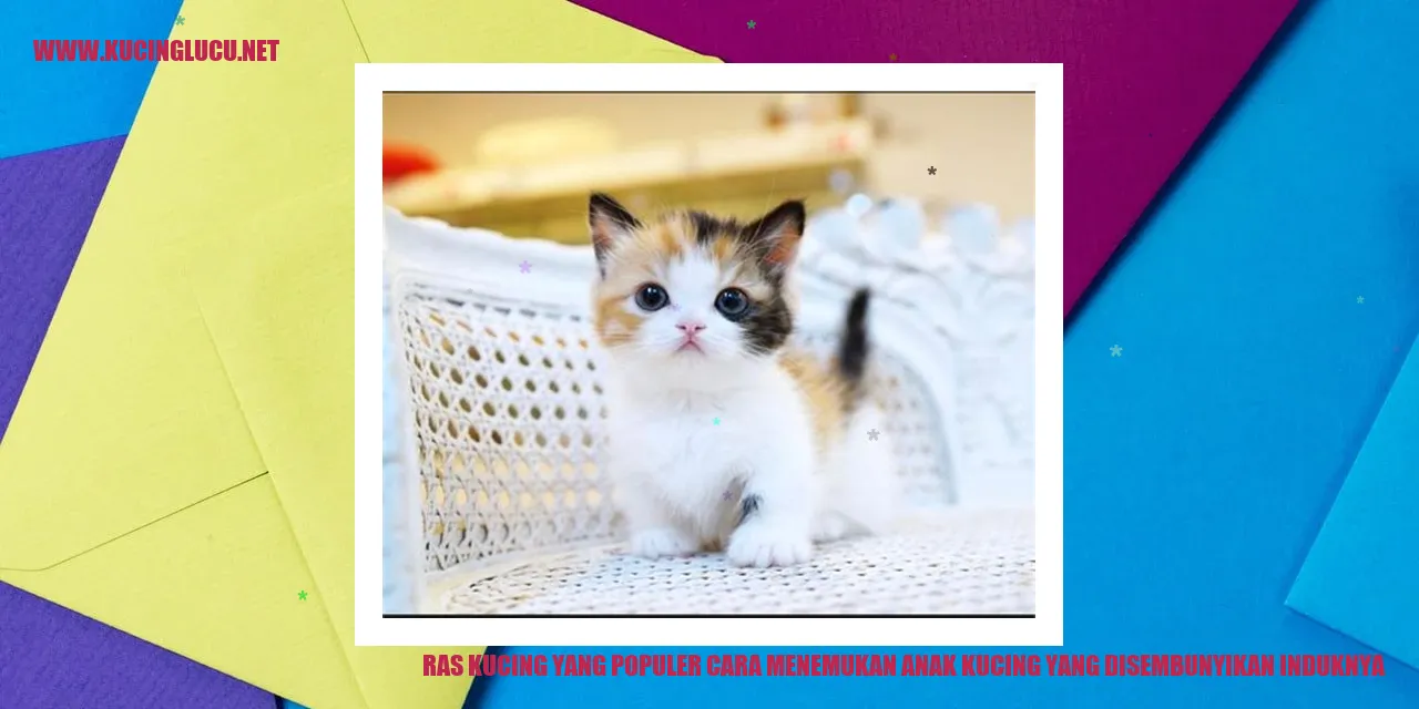 Ras Kucing yang Populer
