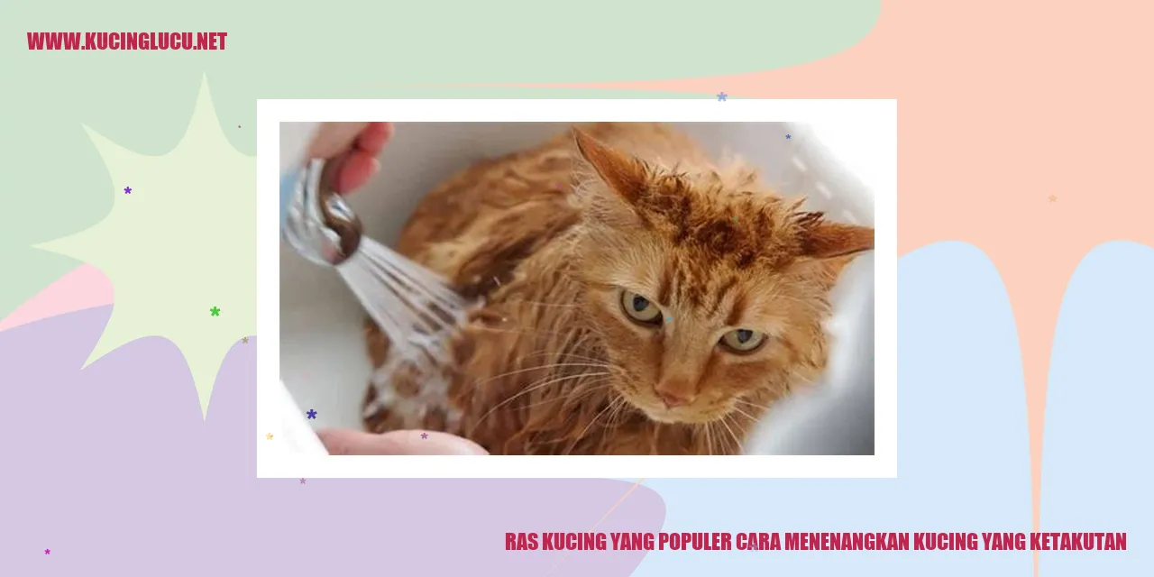 Ras Kucing yang Populer cara menenangkan kucing yang ketakutan