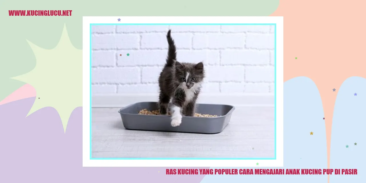 Kucing Pup di Pasir