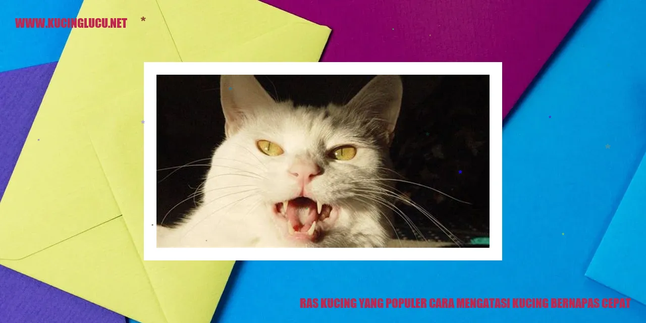 Kucing Ras Populer