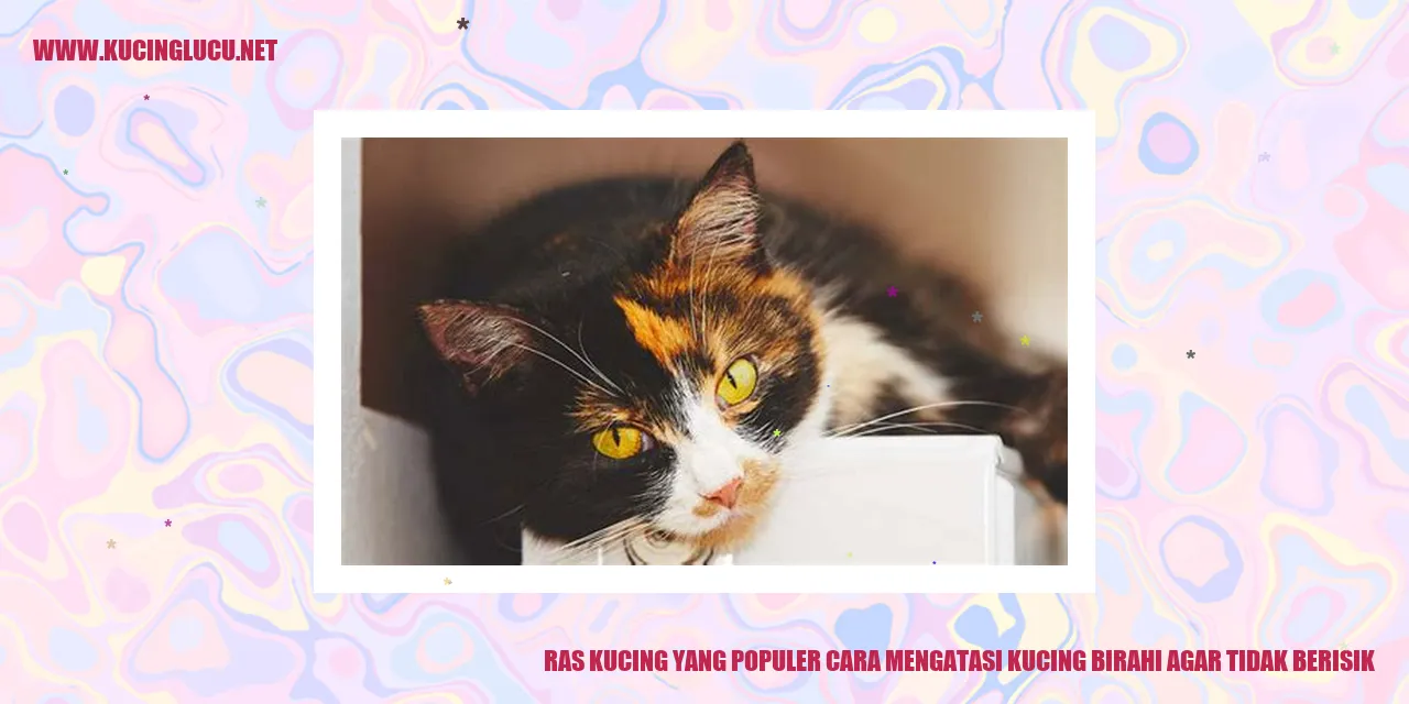 Kucing birahi