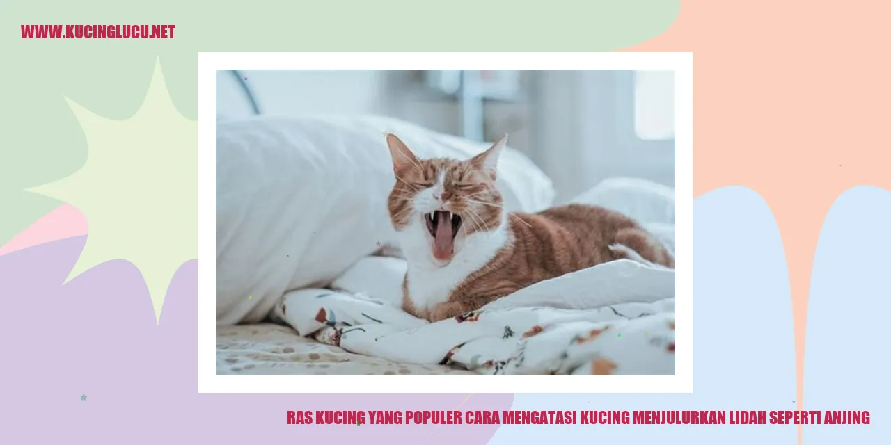 Gambar kucing menjulurkan lidah