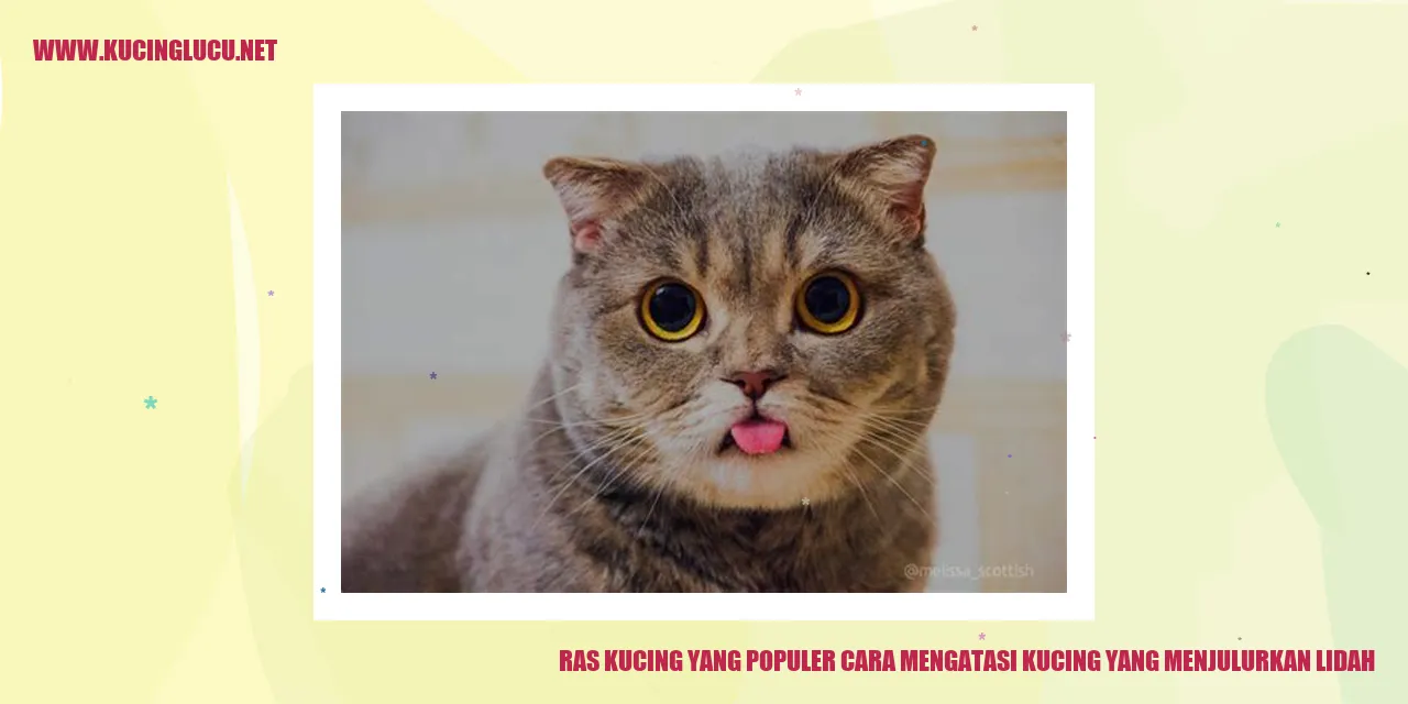 Gambar kucing