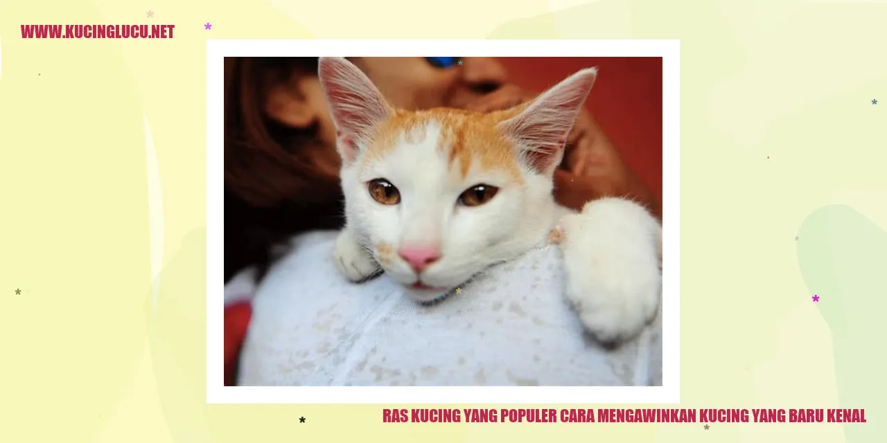 Kucing Ras Populer dan Tips Mengawinkan Kucing yang Baru Dikenal