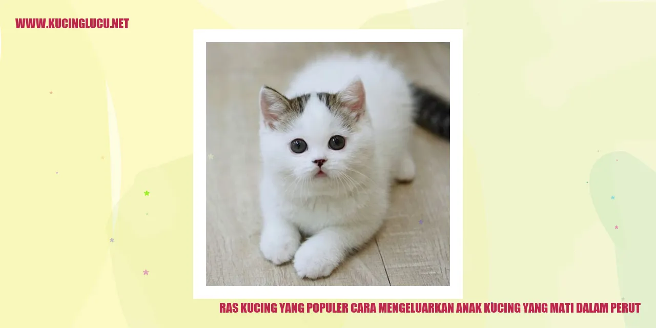 Ilustrasi Anak Kucing yang Mati dalam Perut