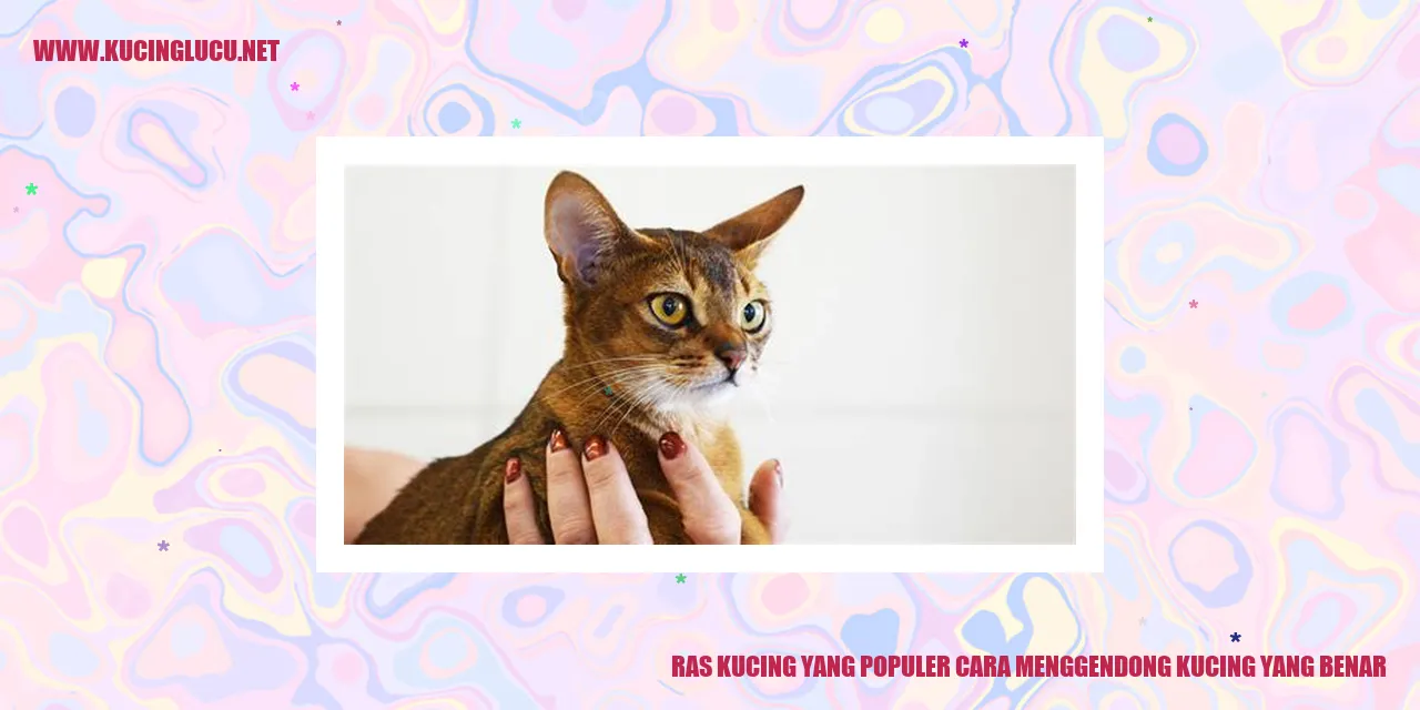 Ras Kucing yang Populer
