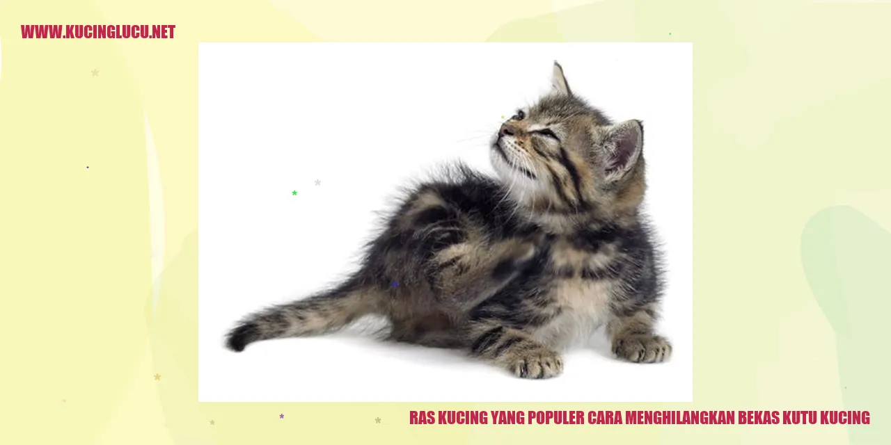 Ras Kucing yang Terkenal