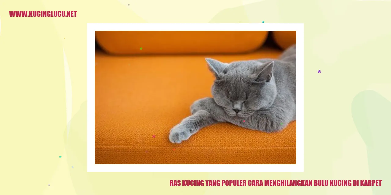 Kucing Menggantung di Karpet