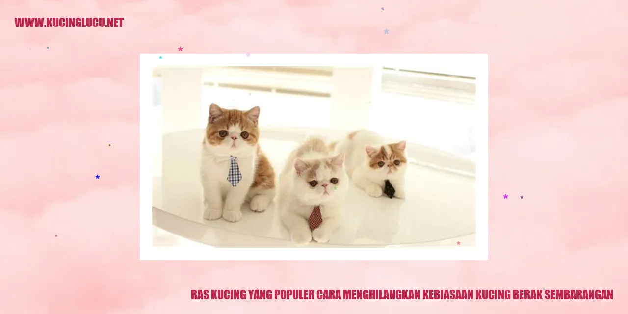 Ras Kucing yang Populer