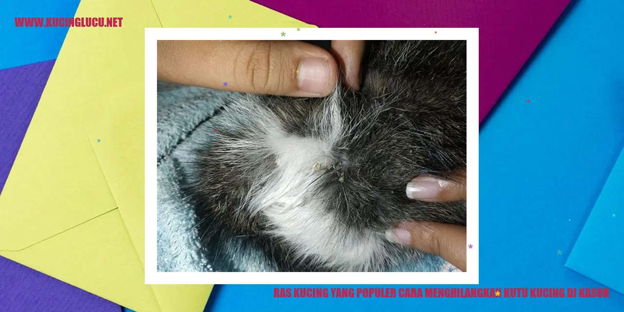 Ras Kucing yang Terkenal