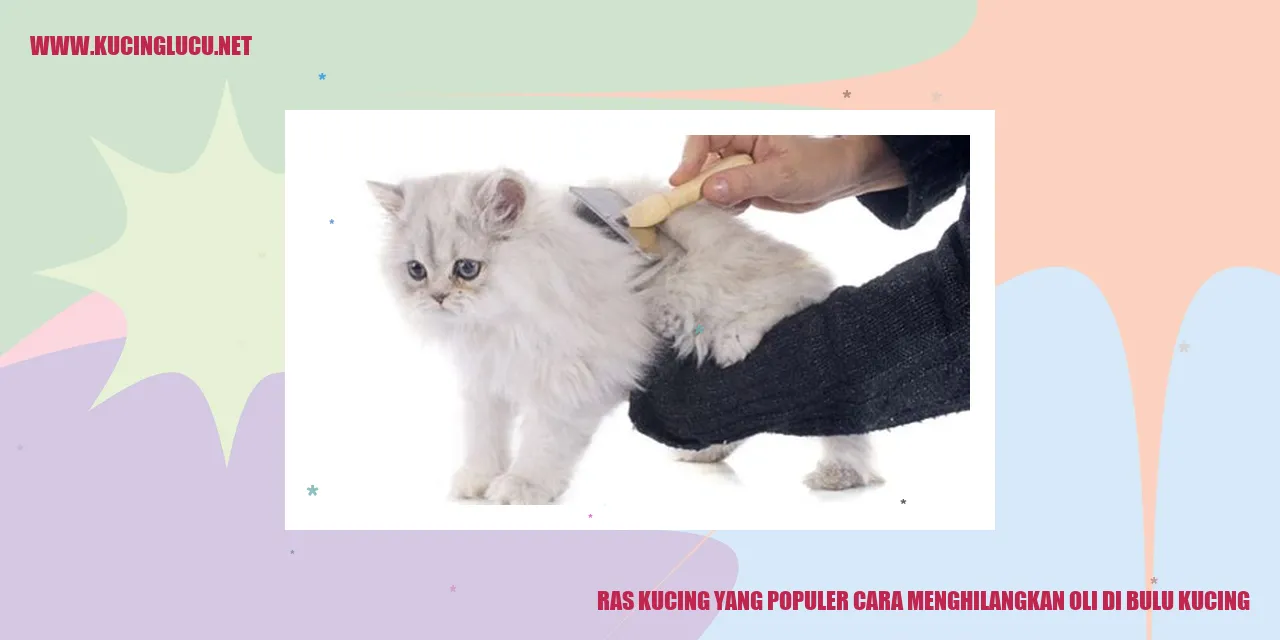 Ras Kucing yang Populer cara menghilangkan oli di bulu kucing