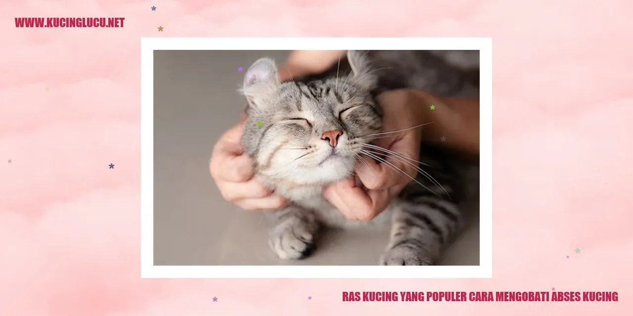 Ilustrasi seekor kucing