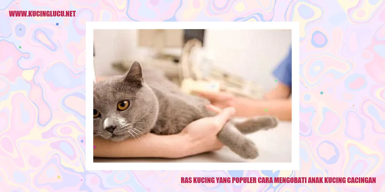Kucing yang Populer