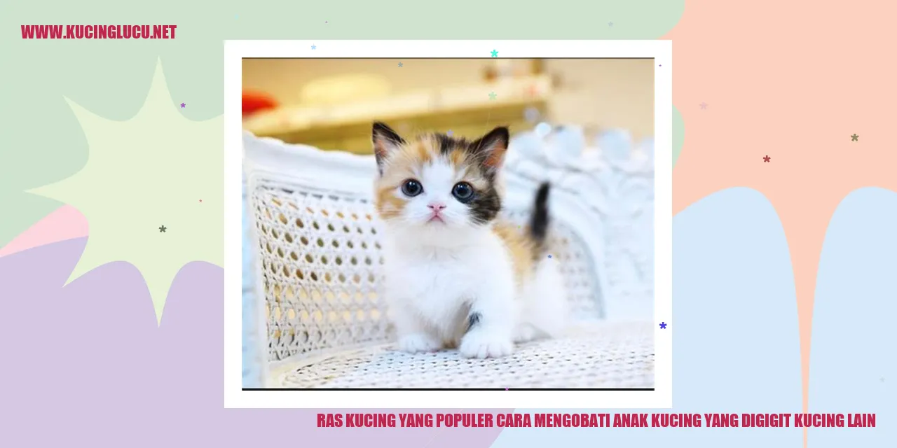 Kucing Mengobati Anak Kucing