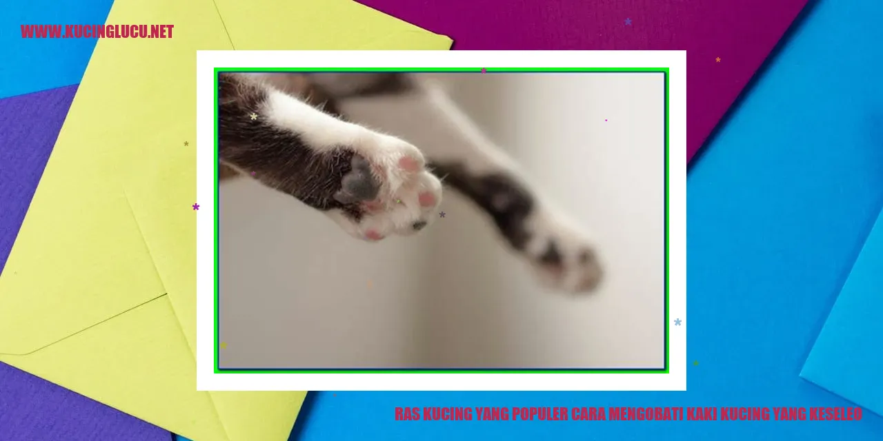 Gambar kucing sedang beristirahat