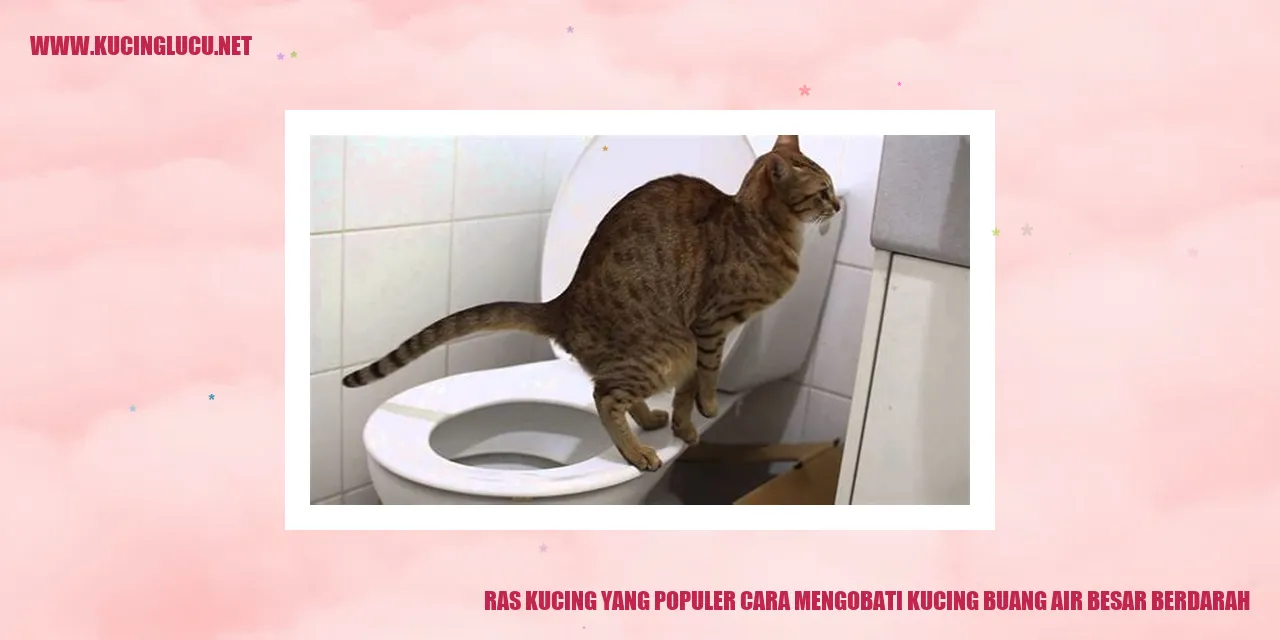 Ras Kucing yang Populer cara mengobati kucing buang air besar berdarah