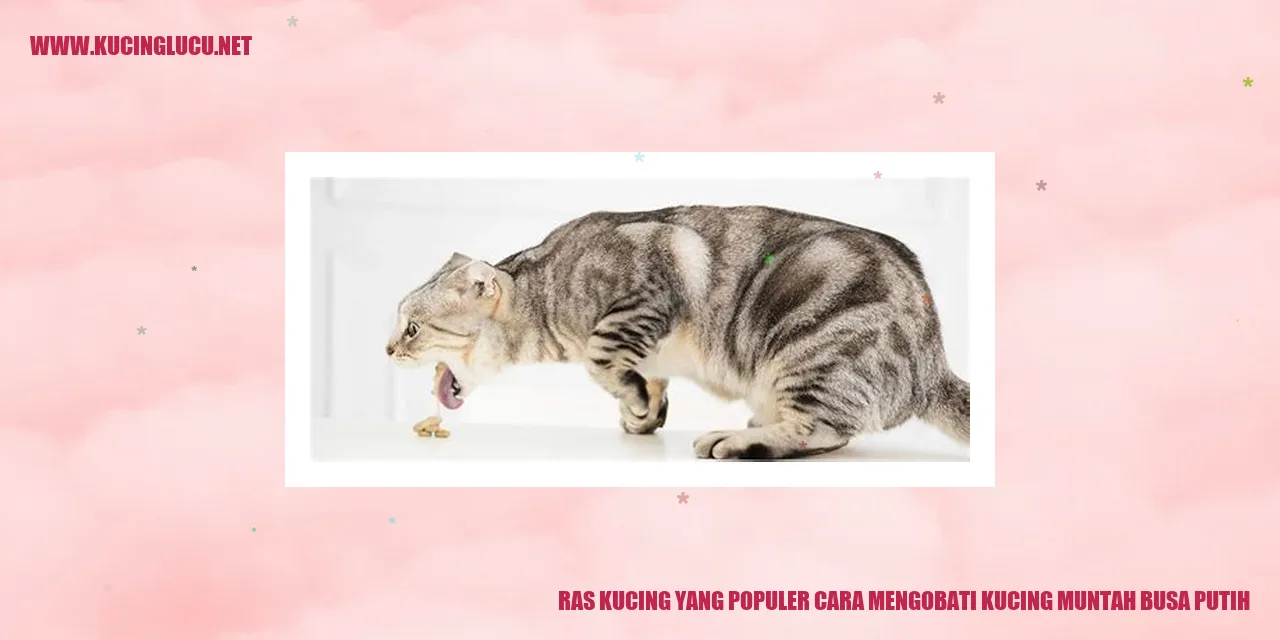 gambar kucing muntah busa putih