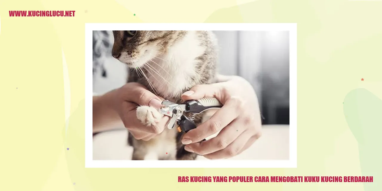 Kucing Ras Populer