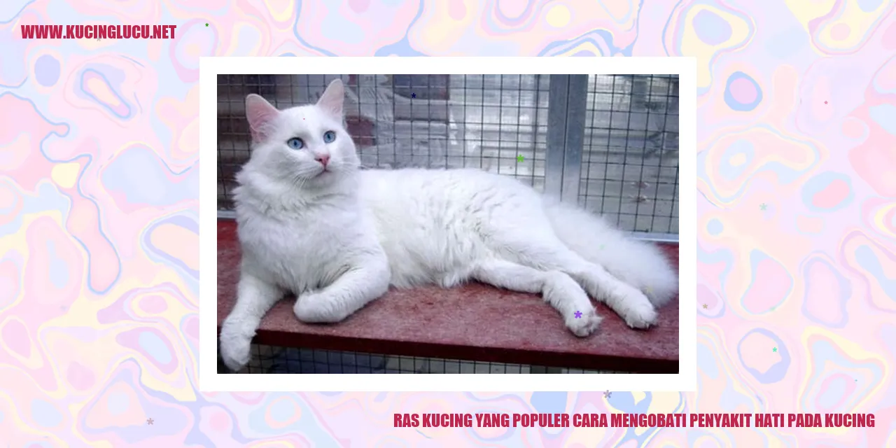 Gambar Ras Kucing yang Populer cara mengobati penyakit hati pada kucing