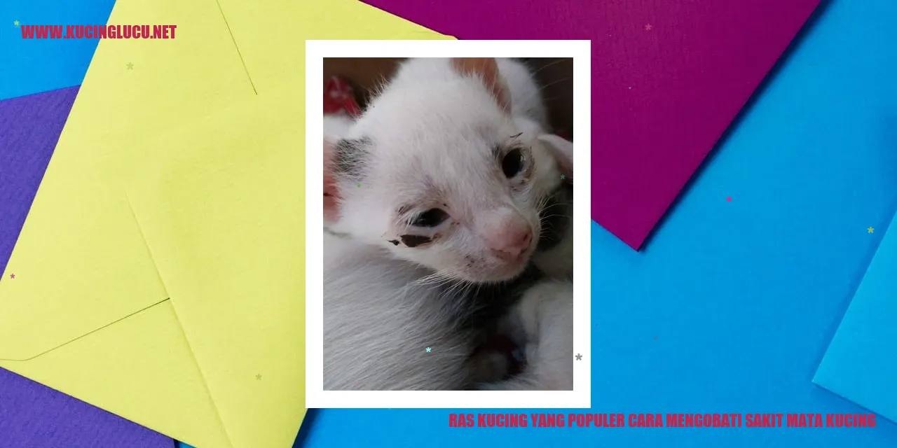 Kucing Ras yang Populer