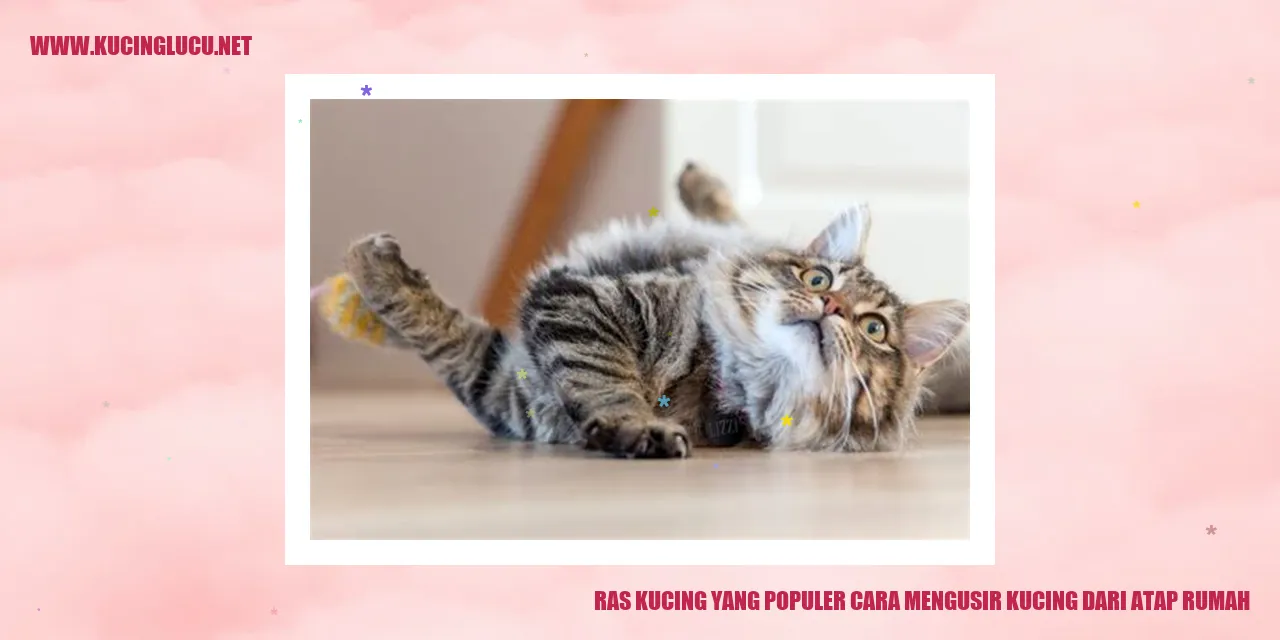 Ragam Jenis Kucing Terkenal