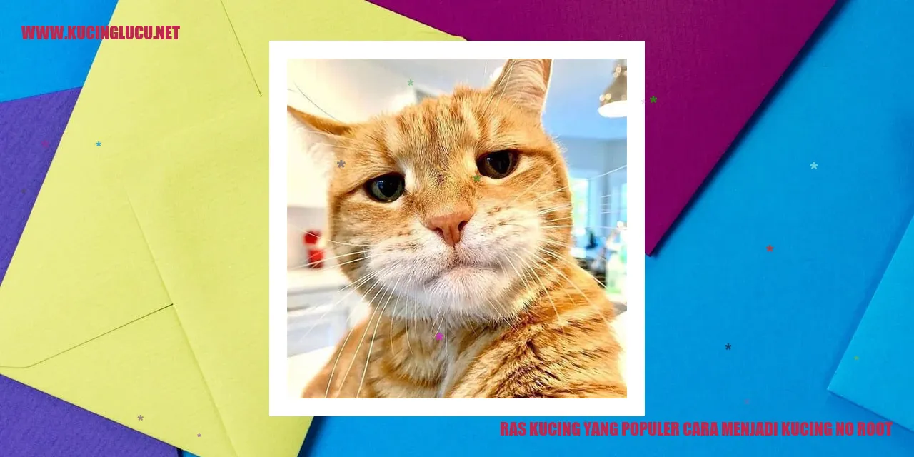 Ras Kucing yang Populer cara menjadi kucing no root