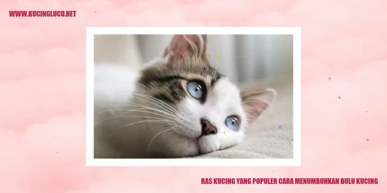 Ras Kucing Populer