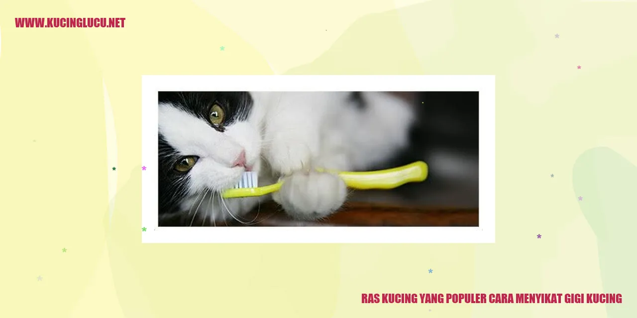 Ras Kucing yang Populer cara menyikat gigi kucing