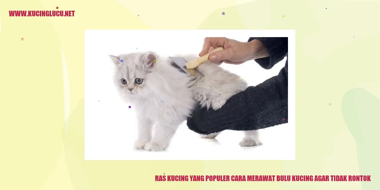 Kucing dengan bulu indah