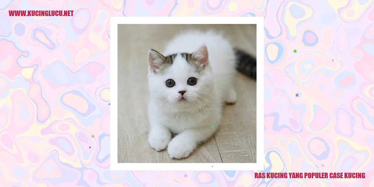 Kucing Ras Populer