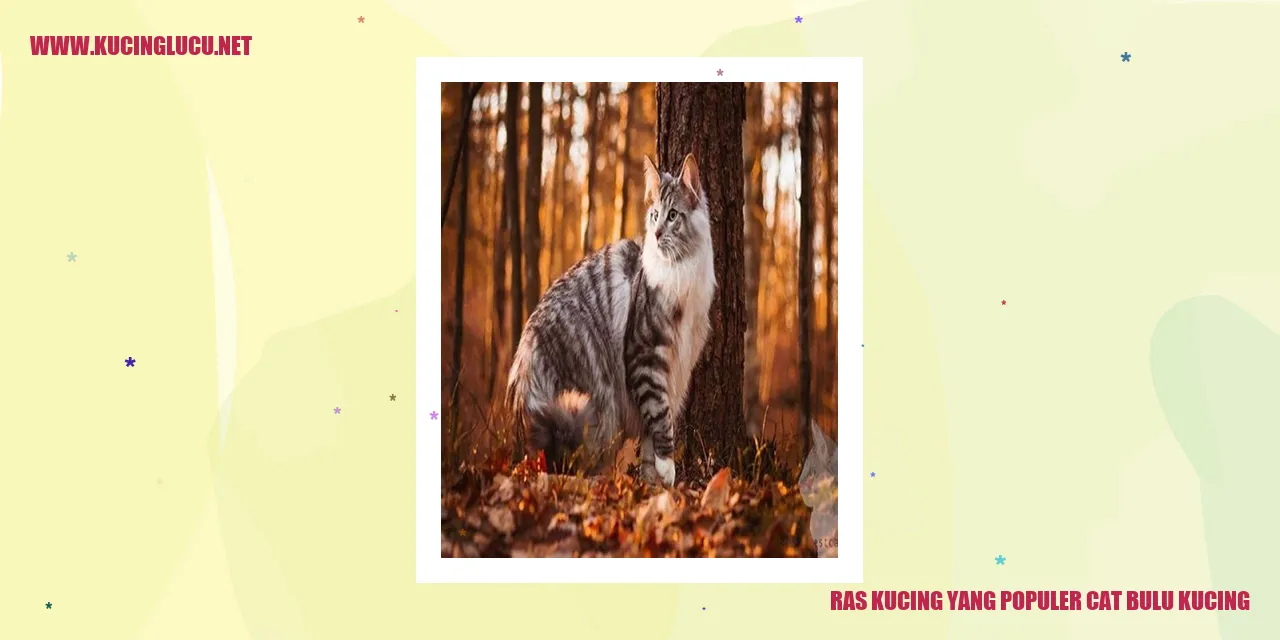 Ras Kucing yang Populer cat bulu kucing
