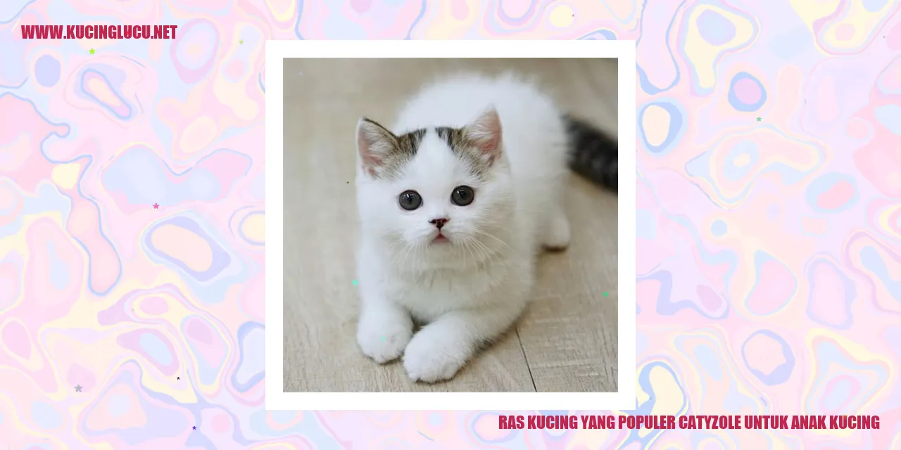 Ras Kucing yang Populer catyzole untuk anak kucing