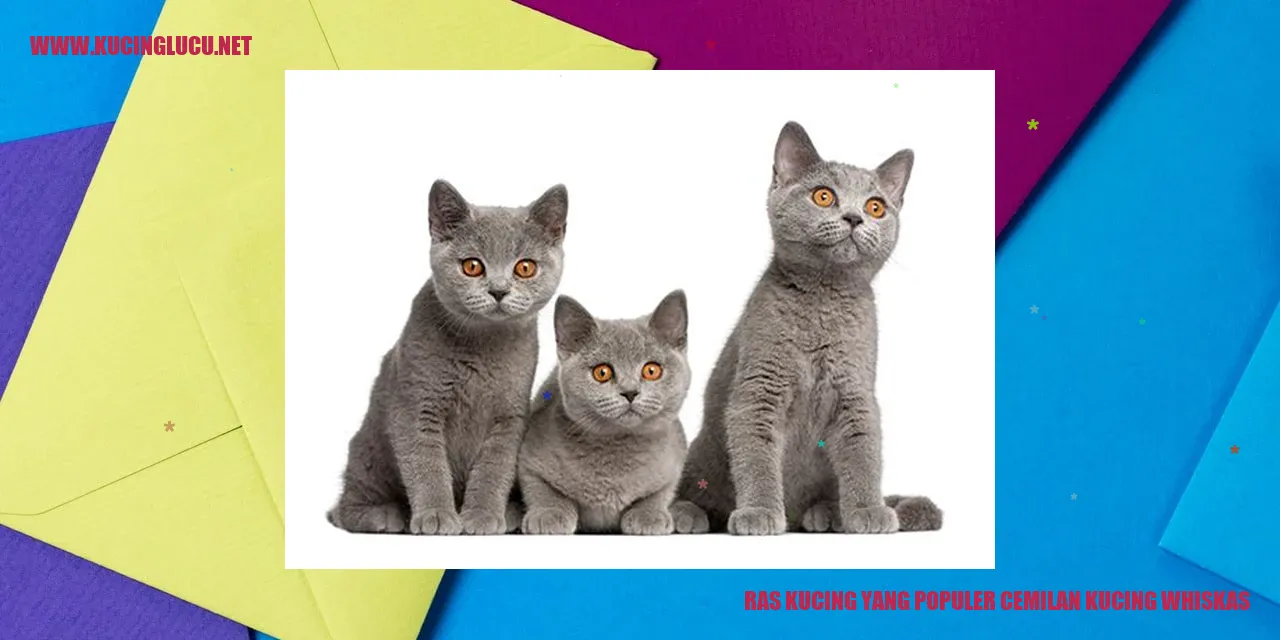 gambar kucing Whiskas