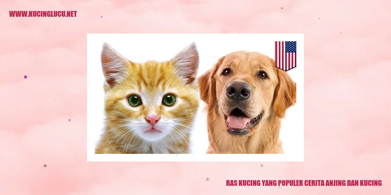 Kucing dan Anjing