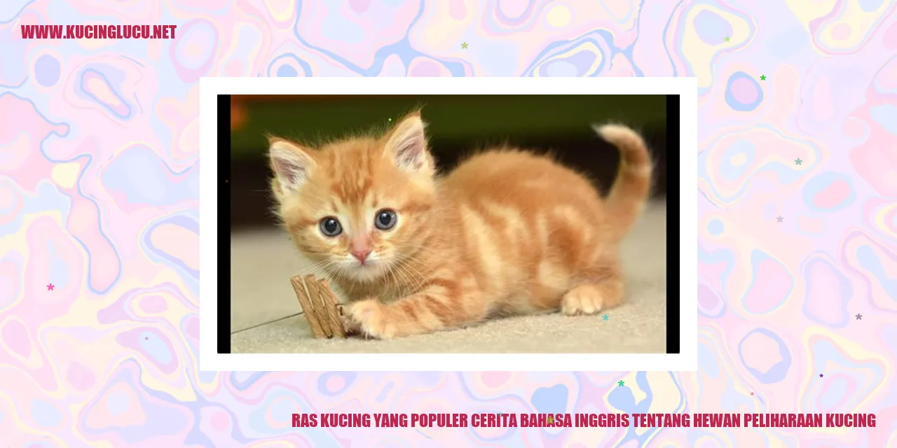 Kucing ras populer