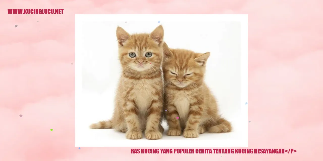 gambar ras kucing